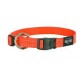 Rogz Utility dog collar orange
